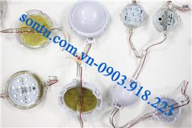  Led module tròn 5cm, 8cm 24v
