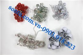  Led module tròn 2cm trong, đục