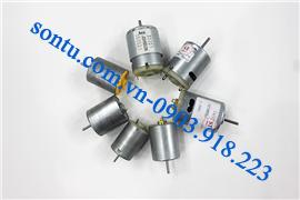  Motor (6v - 12v) 750w, 1000w