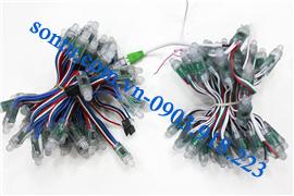  Led full màu có IC