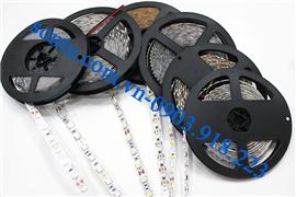  Led dây cuộn không chống nước DC12