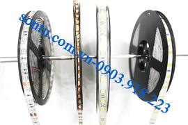  Led dây cuộn chống nước DC 12v đơn sắc
