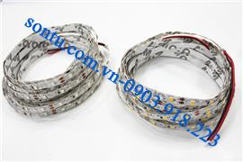  Led dây chữ S không chống nước DC12