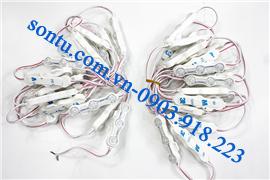  led module 3 bóng bầu tròn