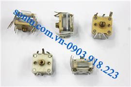  CV mỏng 7 râu, dày 9 râu